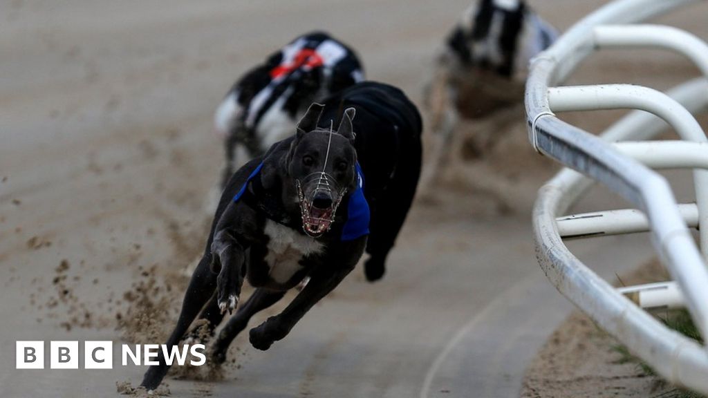 Coronavirus Peterborough greyhound track to close