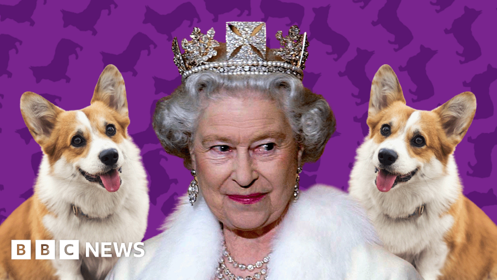 what happened to the queens corgis