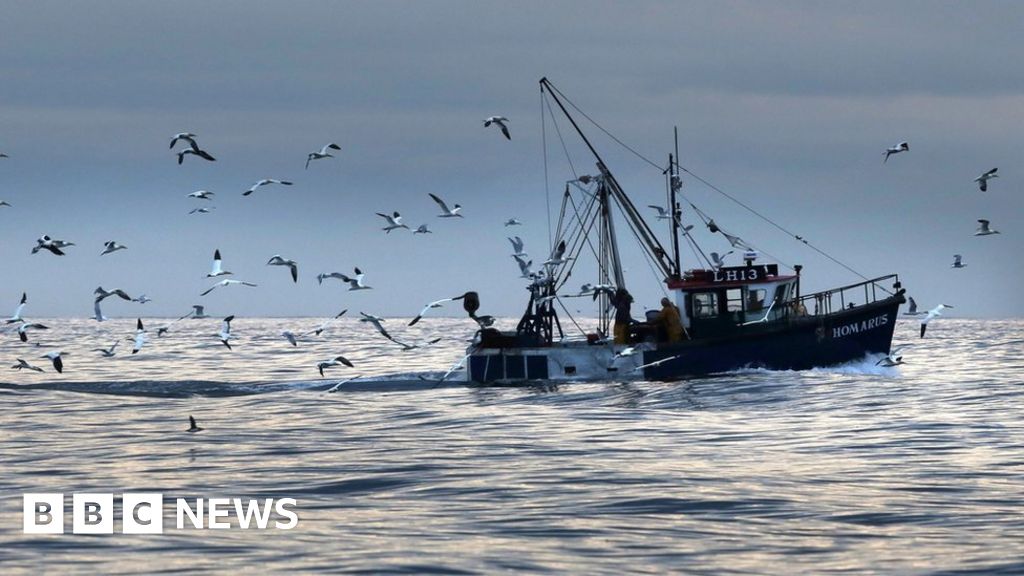 Brexit NI Fishermen 'shortchanged' in fish quota BBC News