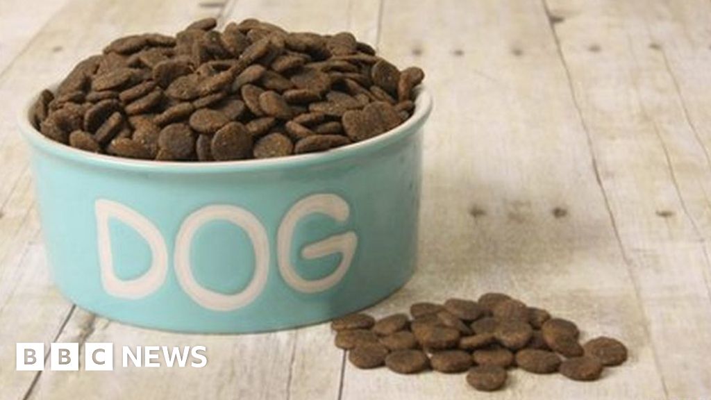 20 new jobs as Real Petfood moves to exHotpoint site BBC News
