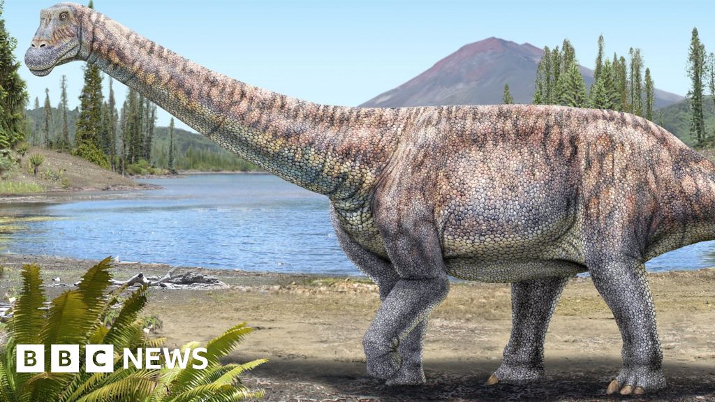 New species of dinosaur unearthed in Chile's Atacama desert