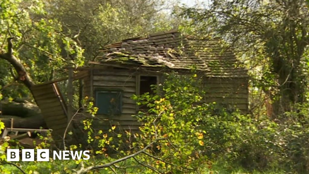 Tornado damages zoo and properties in Hampshire