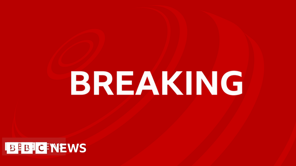 Emiliano Sala: David Henderson pleads guilty to flight charge