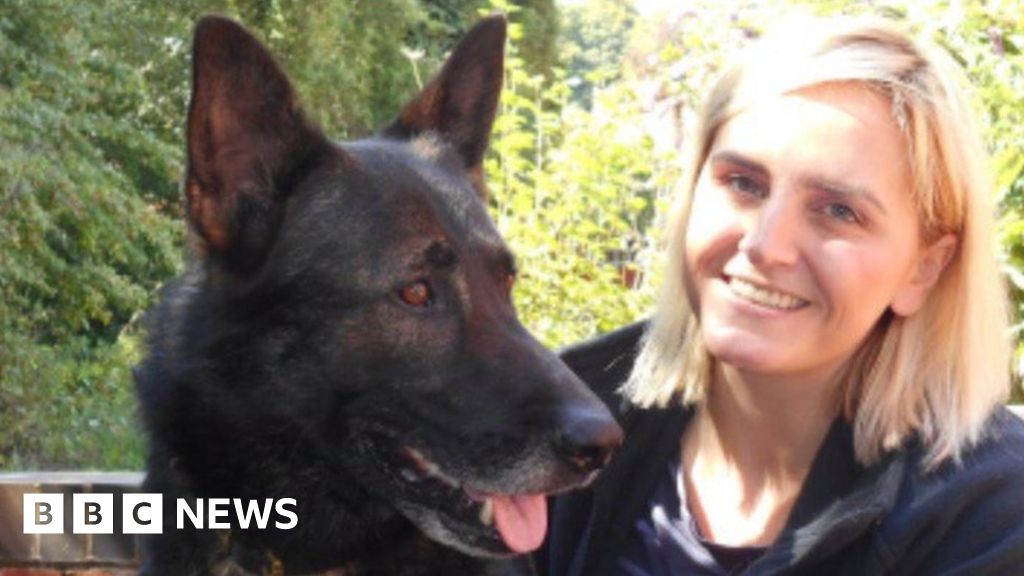 Police Dog Has Surgery After Stabbing