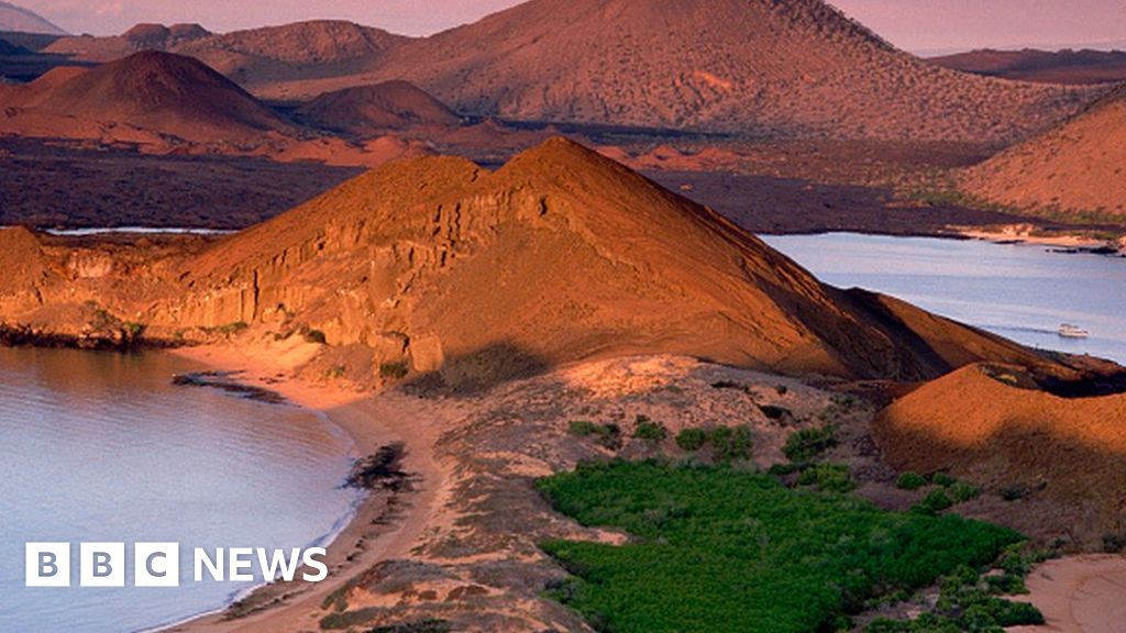 A desconhecida e ameaçada 'Galápagos' da Europa - BBC News Brasil