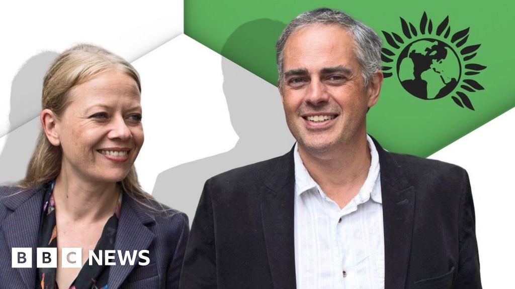 The green party Manifesto in 2019: 12 of the most important policies explained