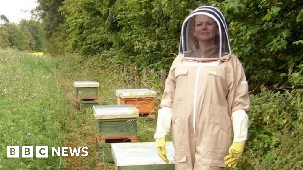 Beekeeper 'cured of deadly sting allergy' BBC News