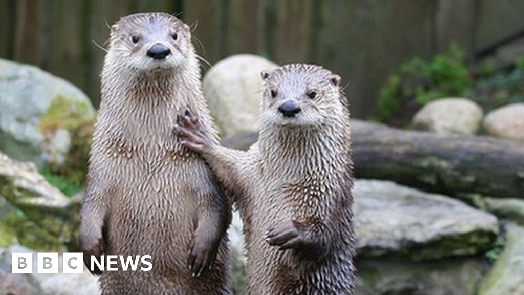 Oban's Scottish Sea Life Sanctuary site is bought Oban's Scottish Sea Life Sanctuary site is bought