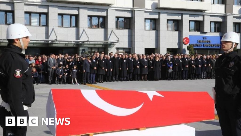 Istanbul attacks: Turkish police arrest 235 over 'militant links'