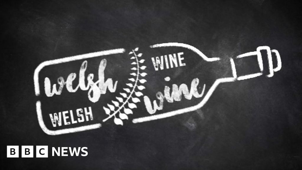 How Welsh wine production has evolved BBC News