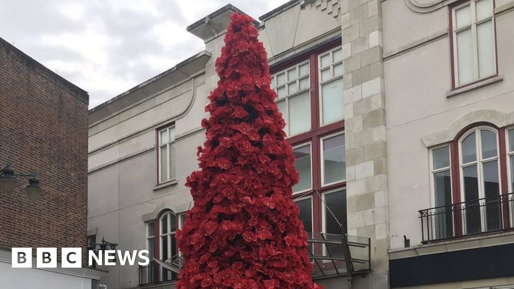 Salisbury poppy 'Christmas tree' sparks fierce online debate