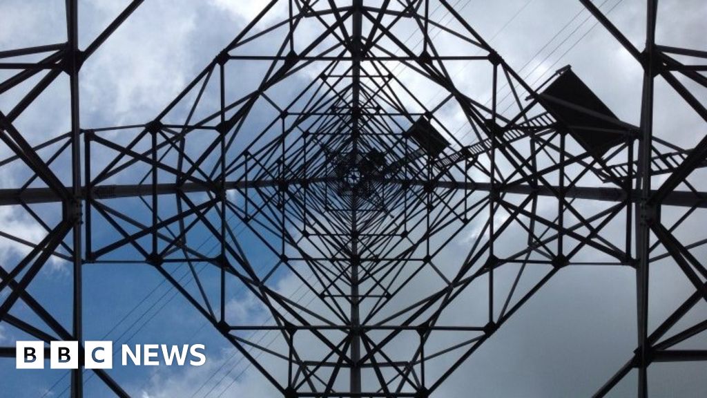 Low carbon electricity better than gas, says government panel BBC News