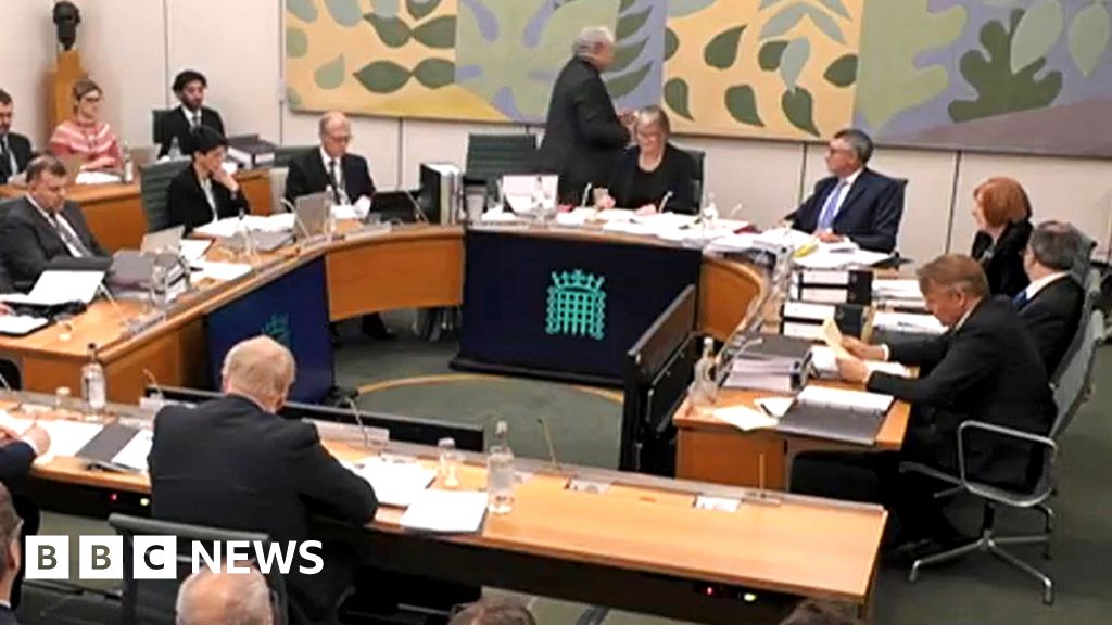 What is the Privileges Committee and who are its members? BBC News
