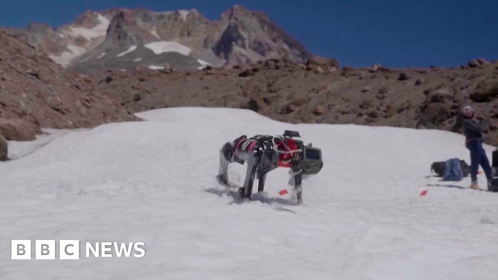 Engineers in Oregon prepare canine robotic to stroll on Moon