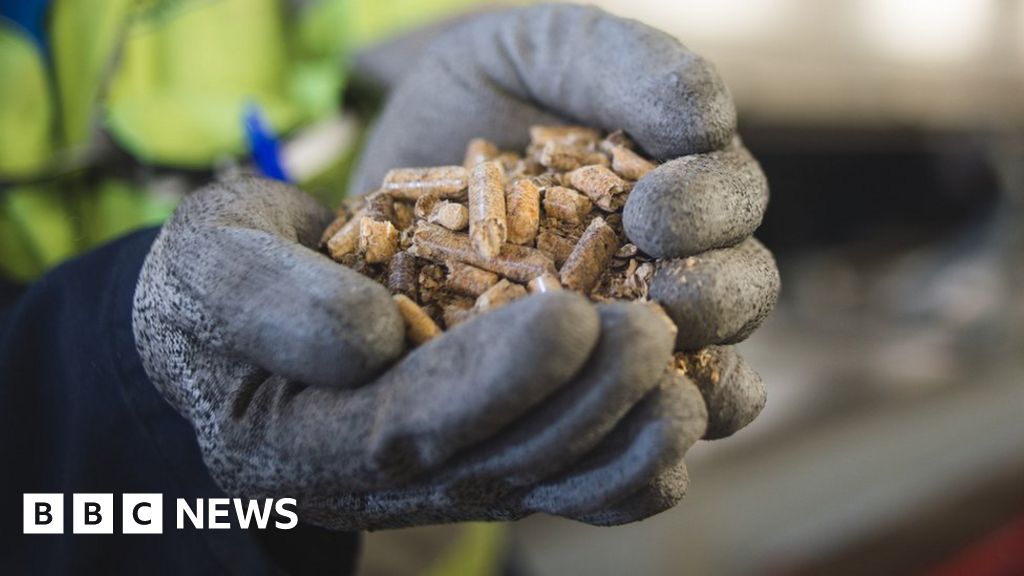 The controversy of wood pellets as a green energy source