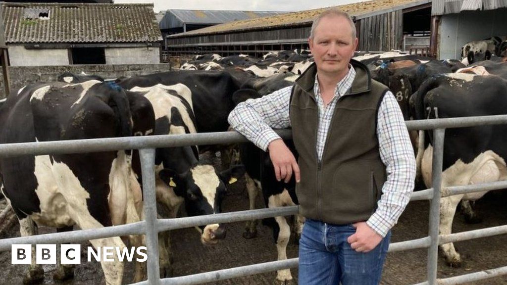 Cost Of Living: Somerset Dairy Farmer On 'knife Edge' As Milk Price Drops