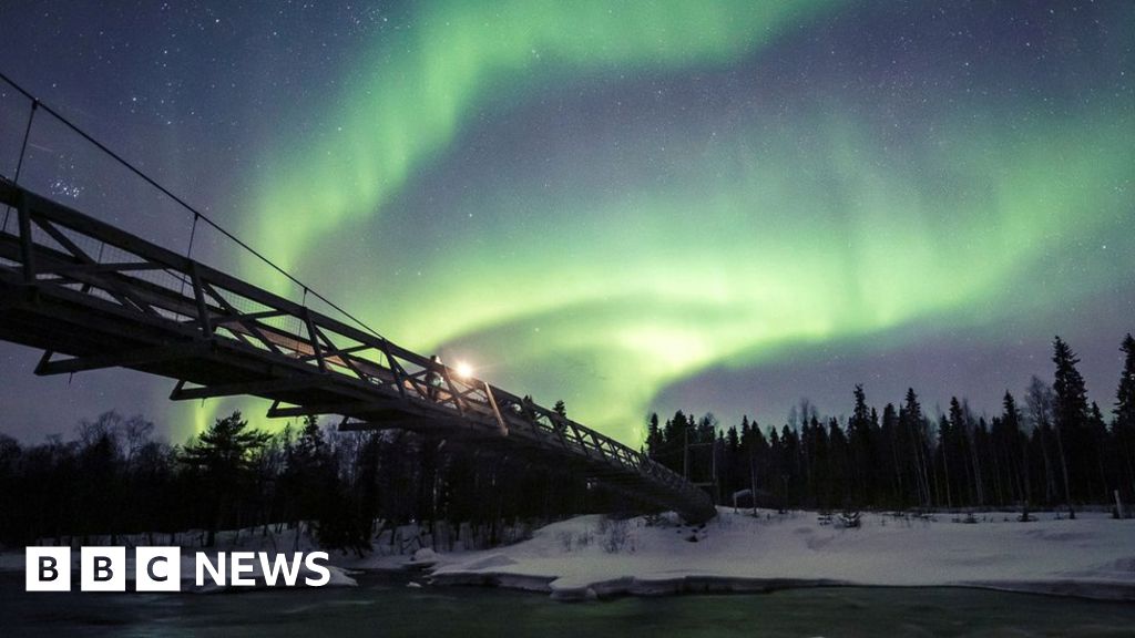 Coronavirus: How to see the world without leaving your house