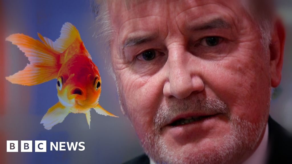 CEO Secrets Airport boss 'lives in goldfish bowl' BBC News