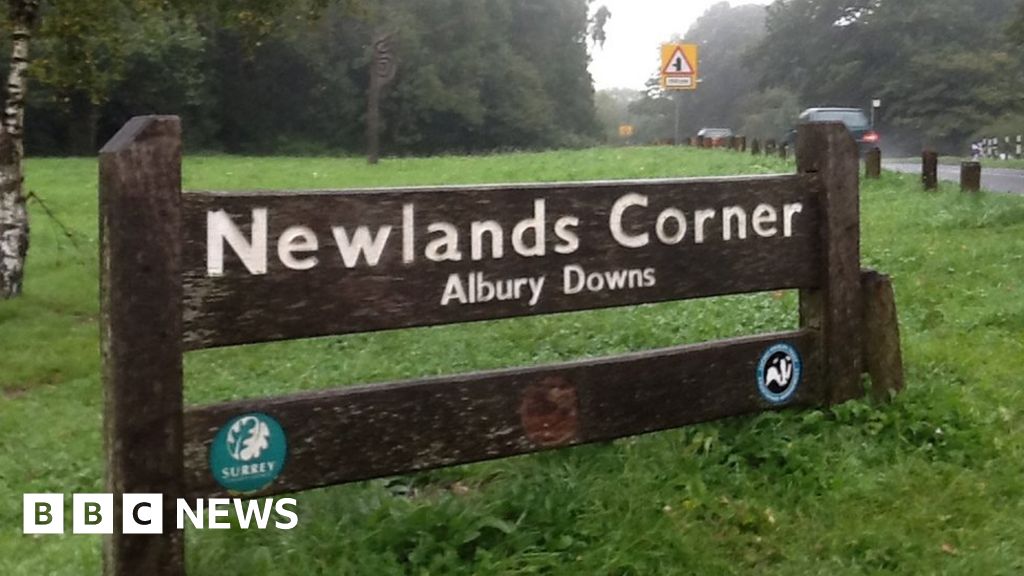 Newlands Corner Petition calls for rethink on parking charge BBC News