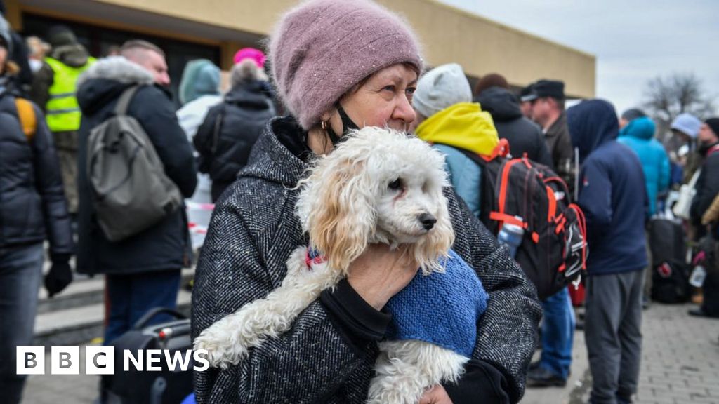 Scunthorpe animal artist fundraising for Ukrainian pets