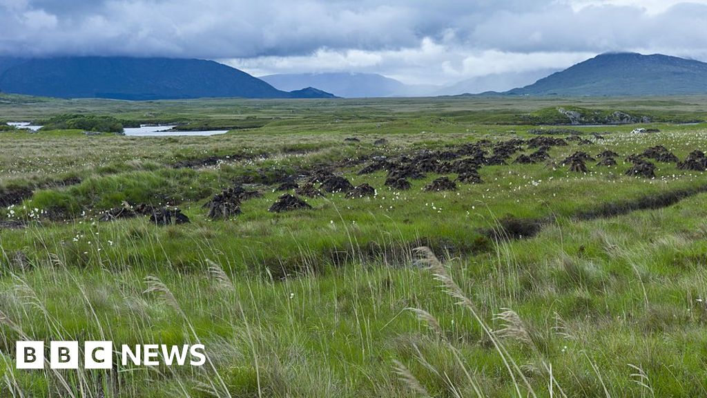 Climate change: Peatlands 'turning into carbon sources'