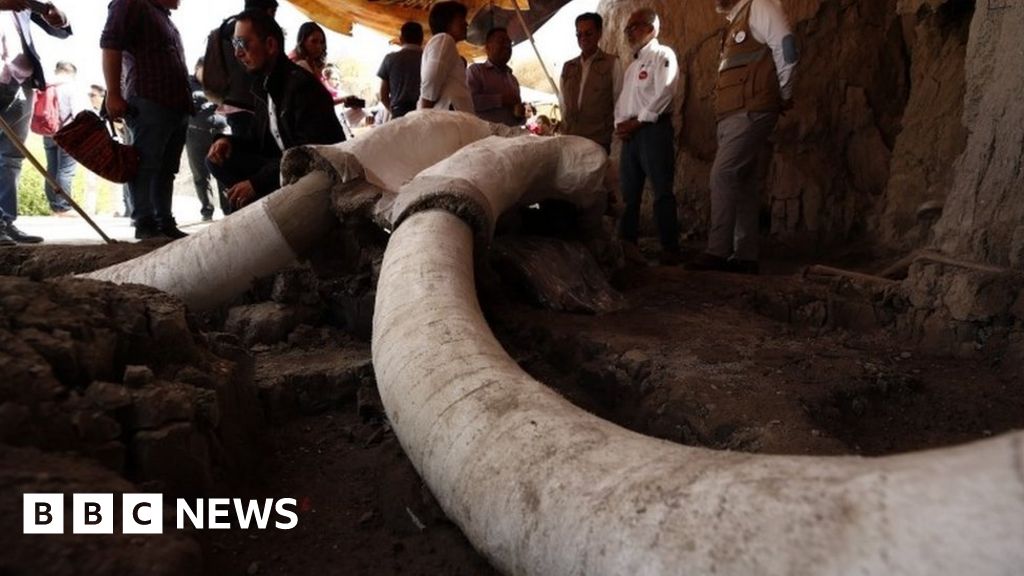 Mexico mammoths: Human-built woolly mammoth traps found in Tultepec