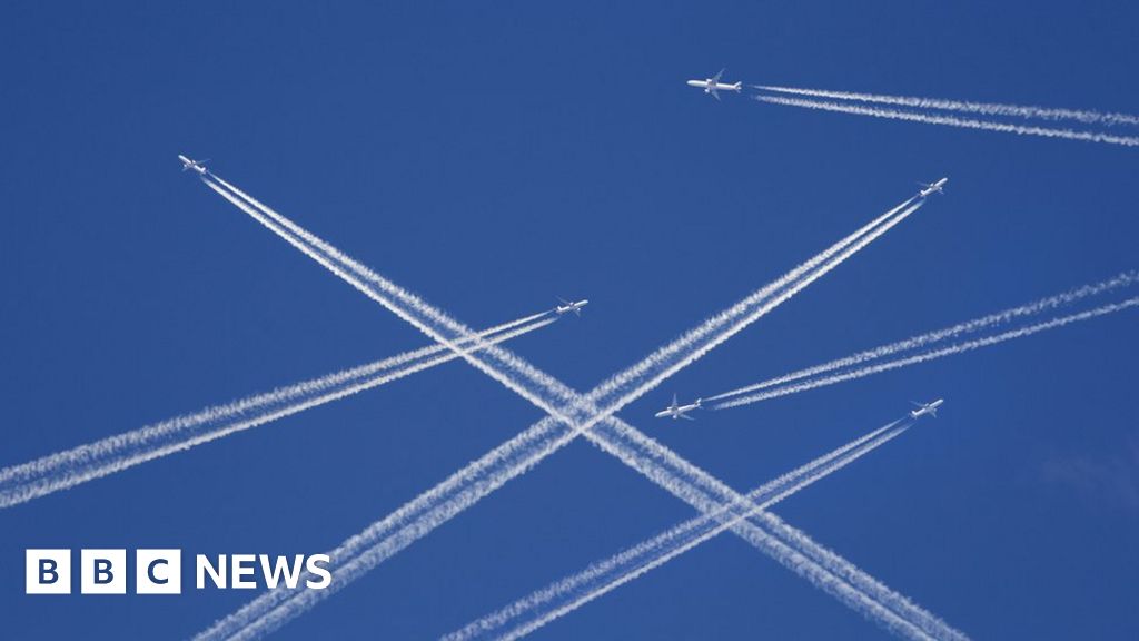 Airlines sue Dutch government over flight cuts
