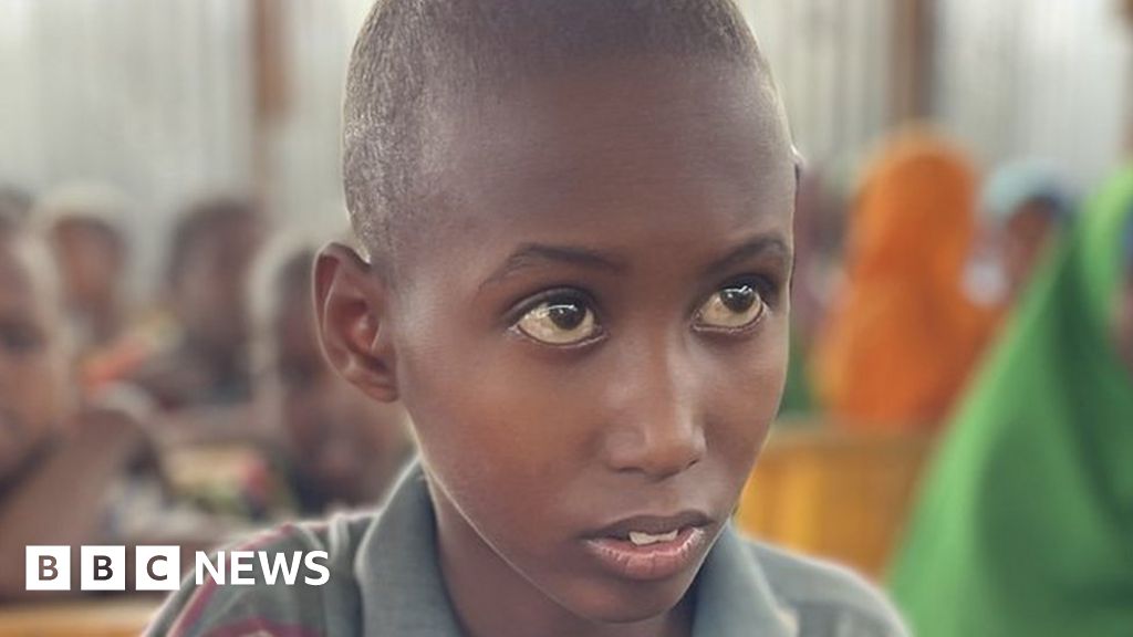 Somalia drought: One boy’s fight to save his family from starvation