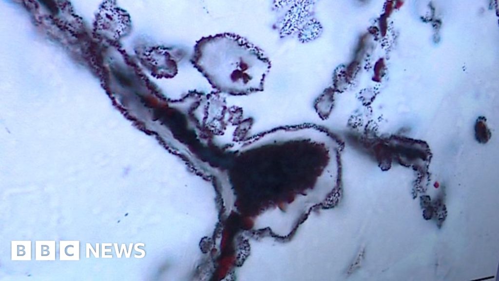 Earliest evidence of life on Earth 'found'