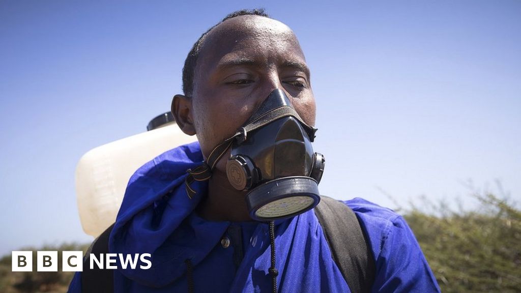 Appeal for more funds to control locusts