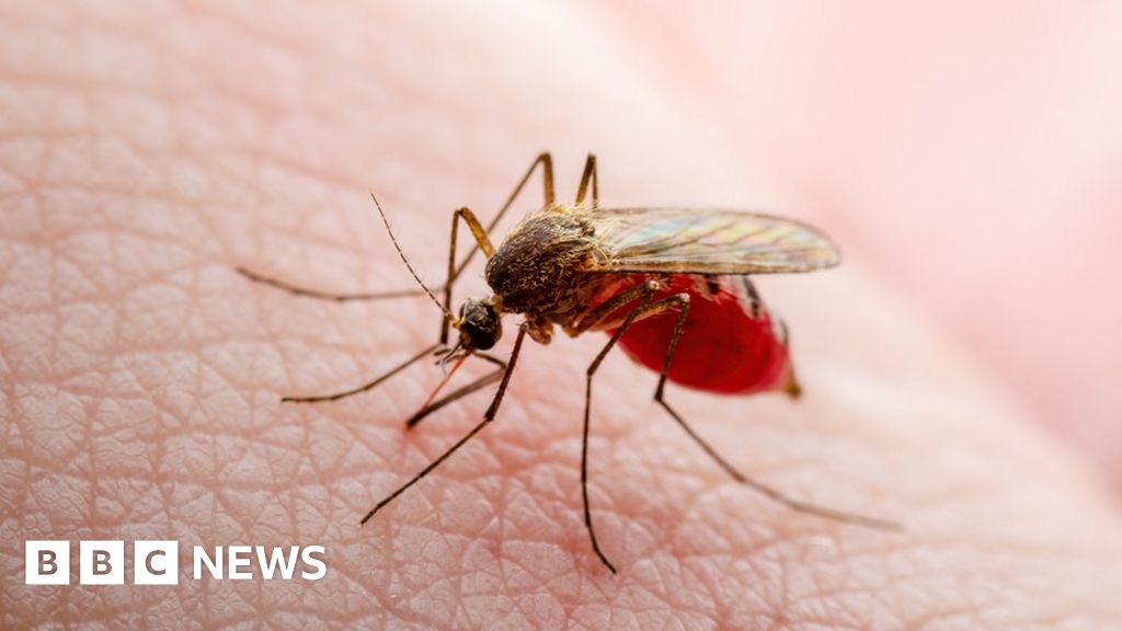 Chance discovery helps fight against malaria