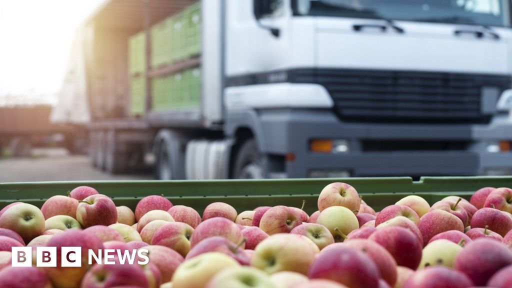 NI Protocol: How will government plans affect businesses? - BBC News