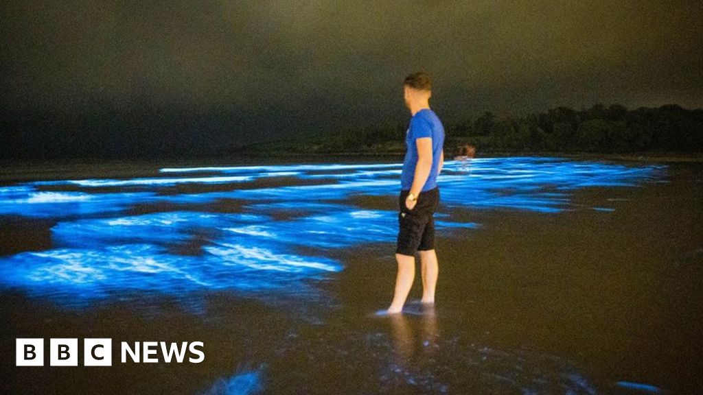 Fountainstown Beach: Bioluminescent plankton light up Cork beach