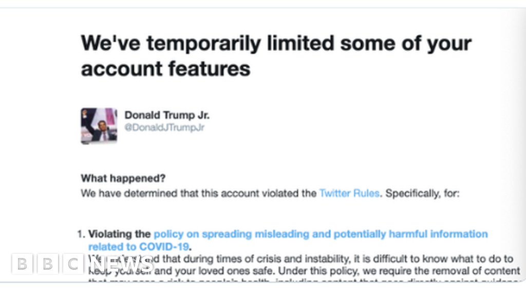 Donald Trump Jr suspended from tweeting after Covid post