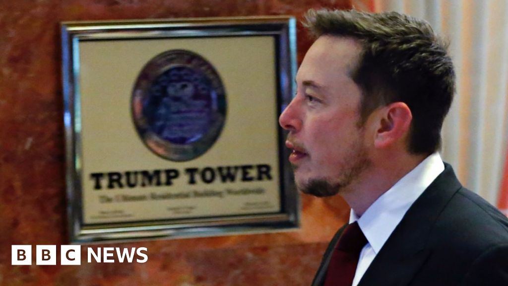 Elon Musk: I'm Trump's voice of reason