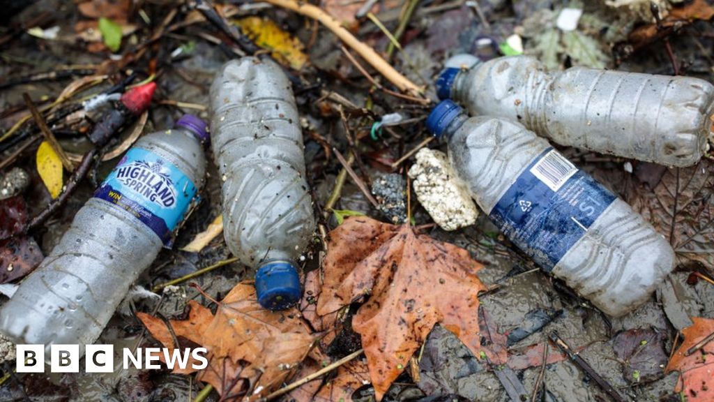 River Thames 'severely polluted with plastic'