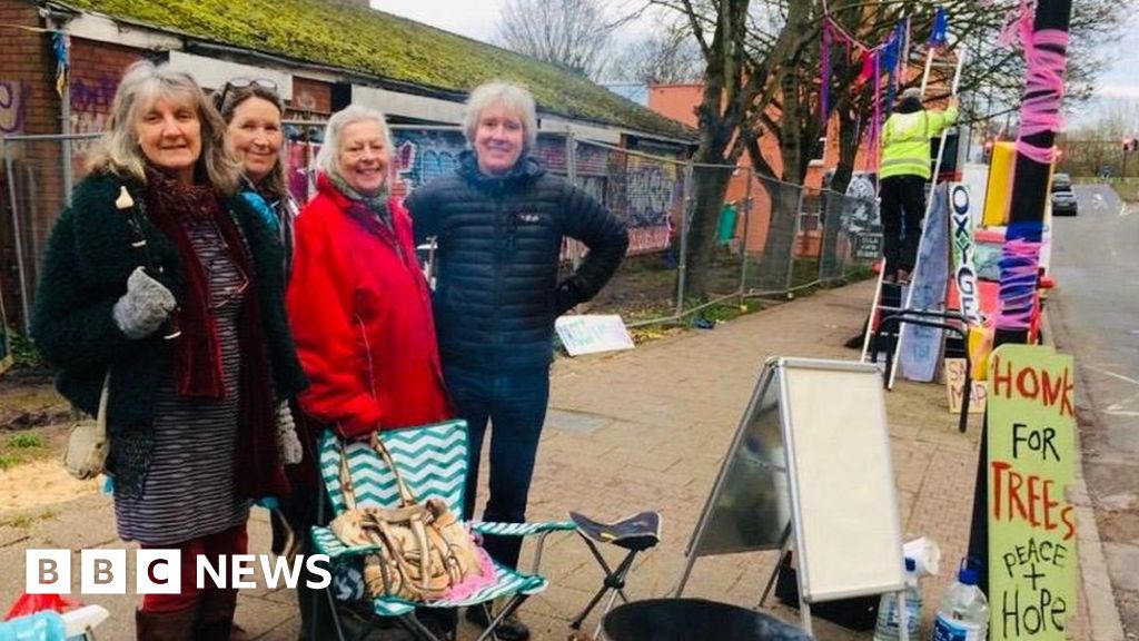 M32 Maples Bristol City Council 'owns' at risk trees BBC News