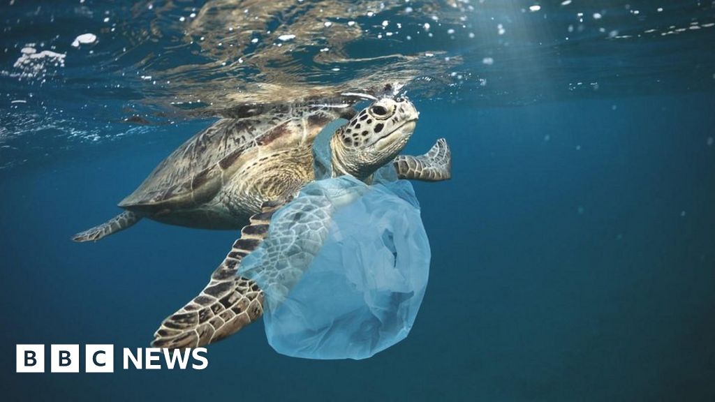 Plastic pollution: Green light for 'historic' global treaty