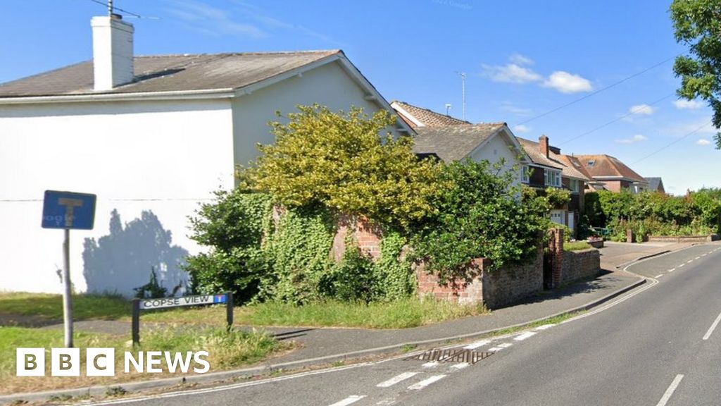East Preston: Woman, 81, dies after being hit by motorbike - BBC News