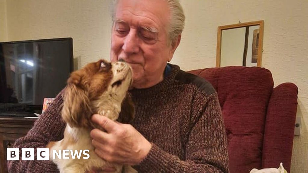 Dog stolen before Christmas is returned to owner - BBC News