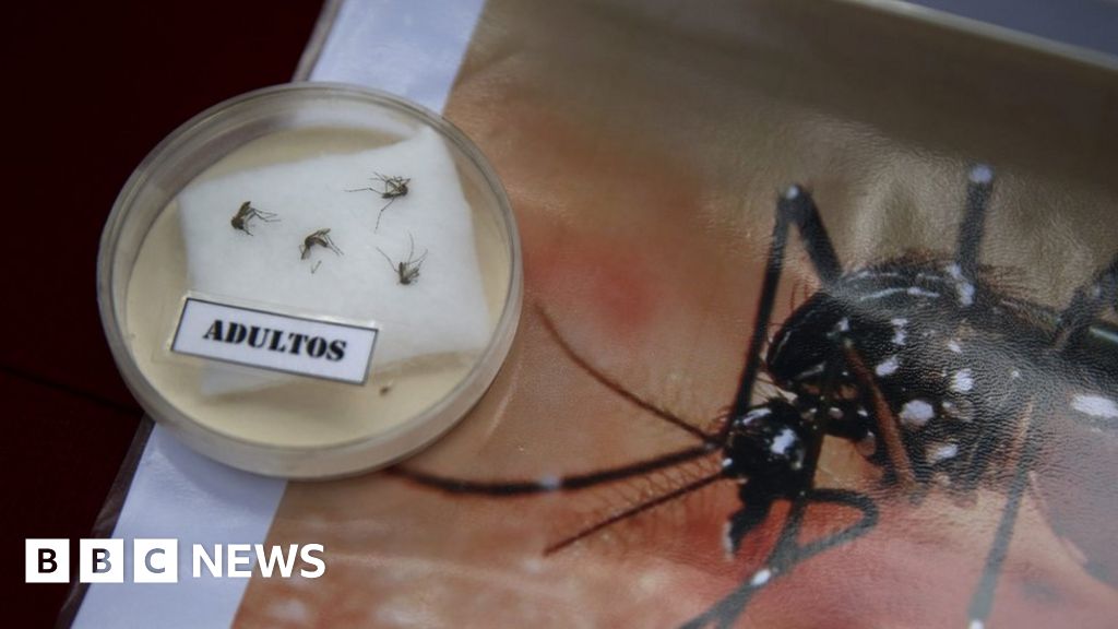 Zika Virus US Scientists Say Vaccine 10 Years Away BBC News    87961026 Hi031158763 