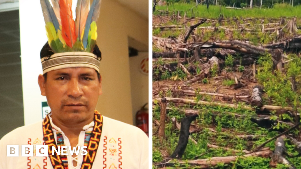Quinto Inuma: Екологът от Перу, който се бори за Amazon, е застрелян
