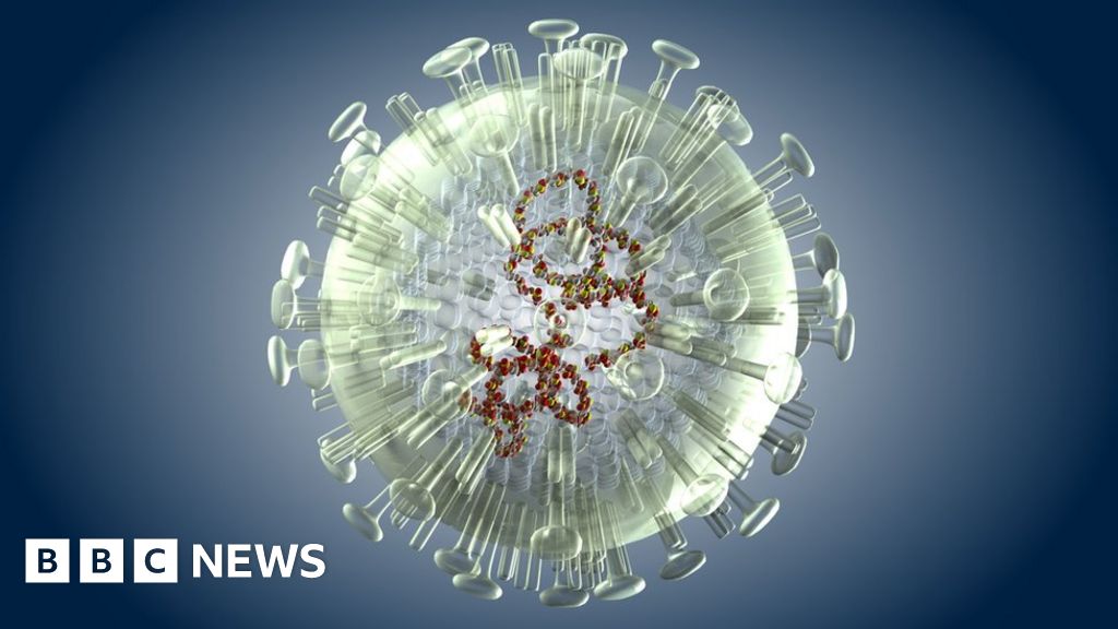 'First flu' affects lifetime risk BBC News