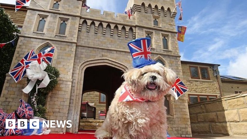 Royal Wedding fans create Windsor Castle dog kennel BBC News