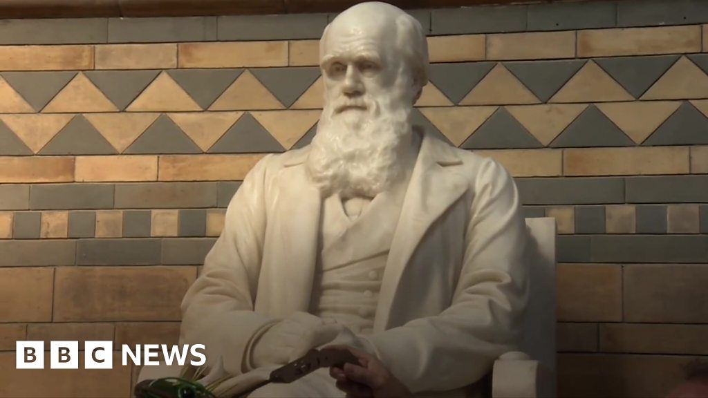 'Breathing new life' into Darwin