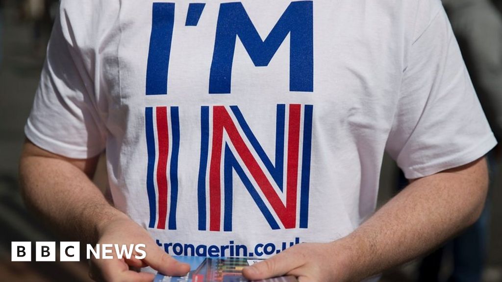 EU Referendum Who are the Remain campaign? BBC News