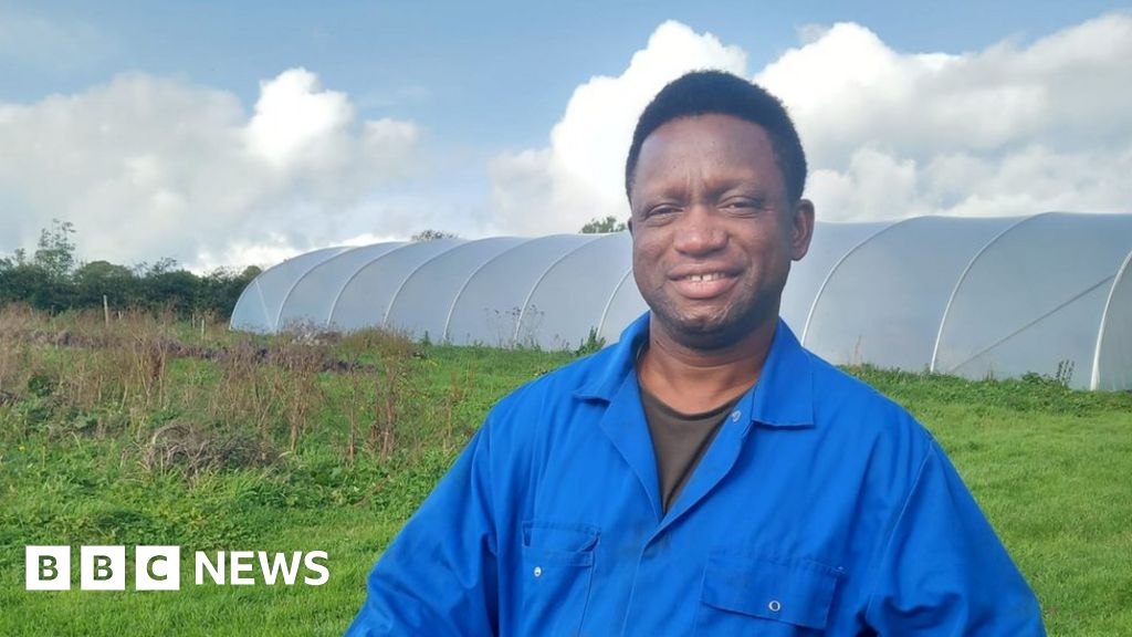 Farm Volunteering Project Gives Asylum Seeker new Hope BBC News farm-volunteering-project-gives-asylum-seeker-new-hope-bbc-news