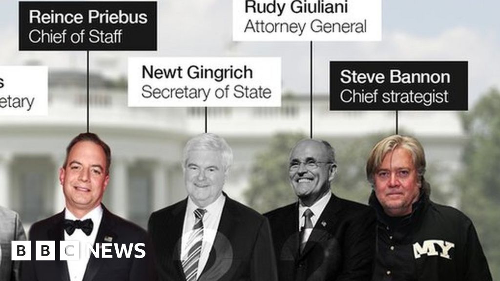 Trump's Presidential Cabinet Takes Shape - BBC News