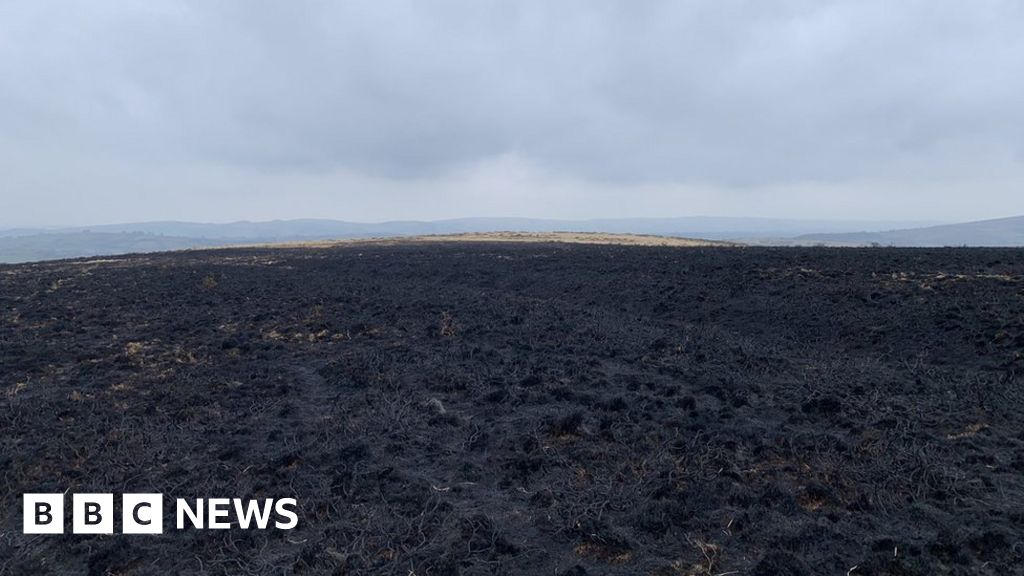 Large Dartmoor fire 'started deliberately' - BBC News
