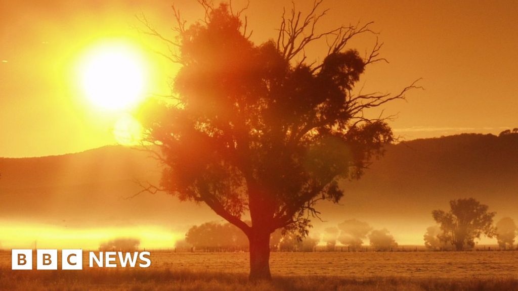Australia heatwave: Nation endures hottest day on record